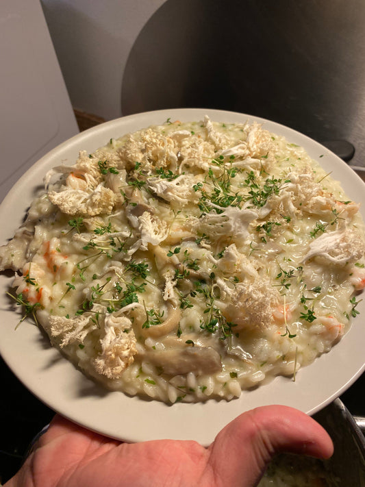 Homemade Risotto Mushrooms & Shrimps